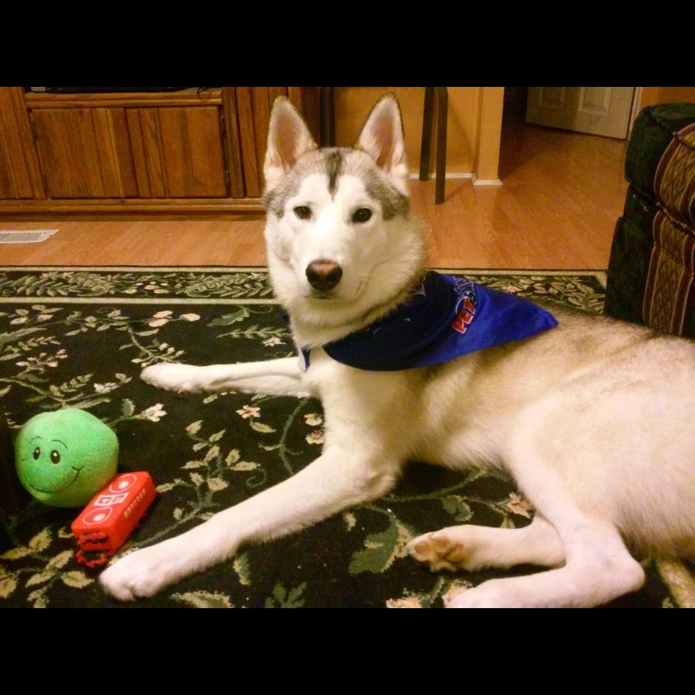 Meet your Posher, Martha